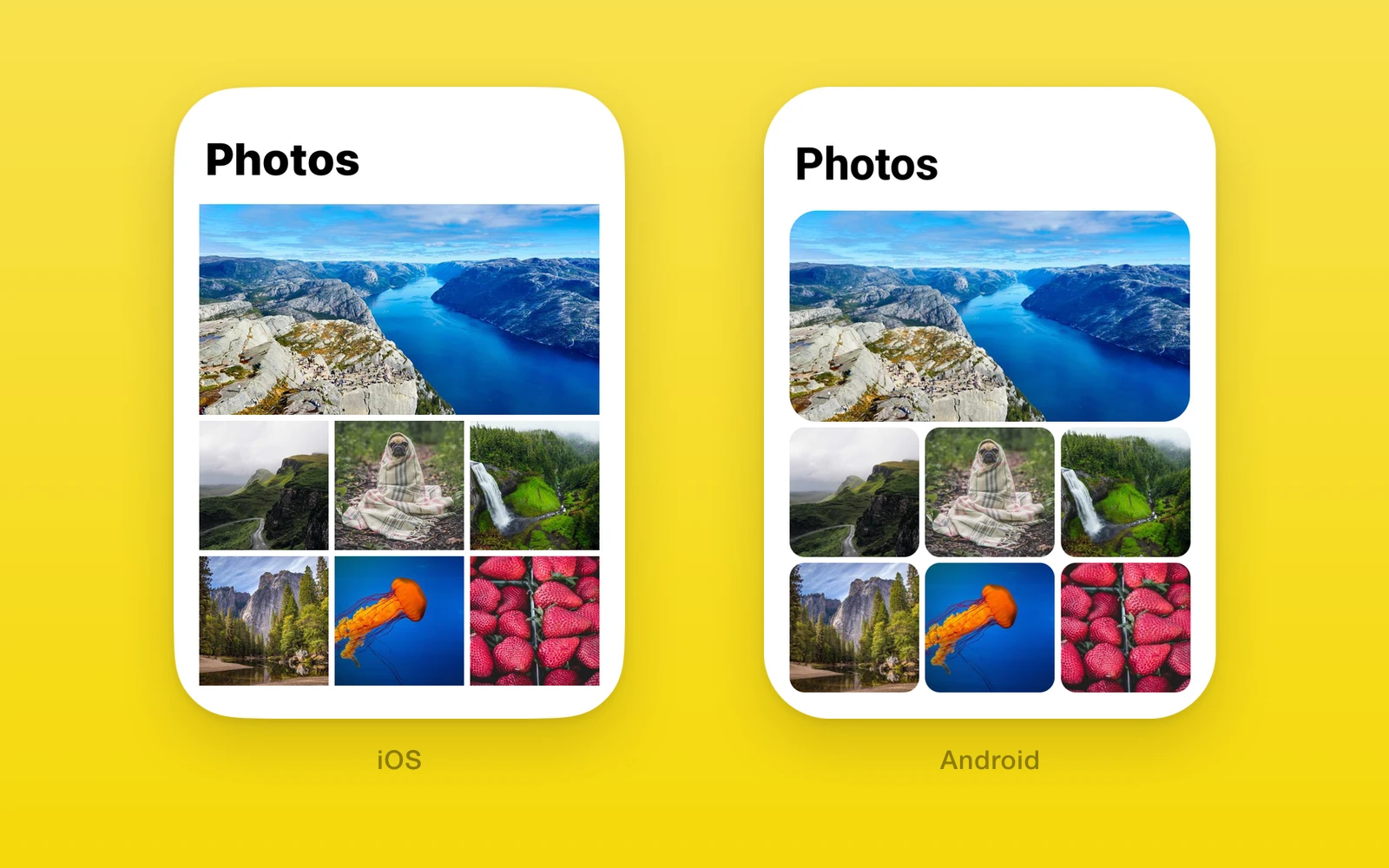 One.UI.Image on iOS and Android: a photo grid loaded from remote URLs